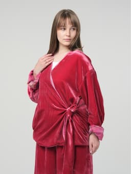Sweatshirt — Velvet Silk & Organza